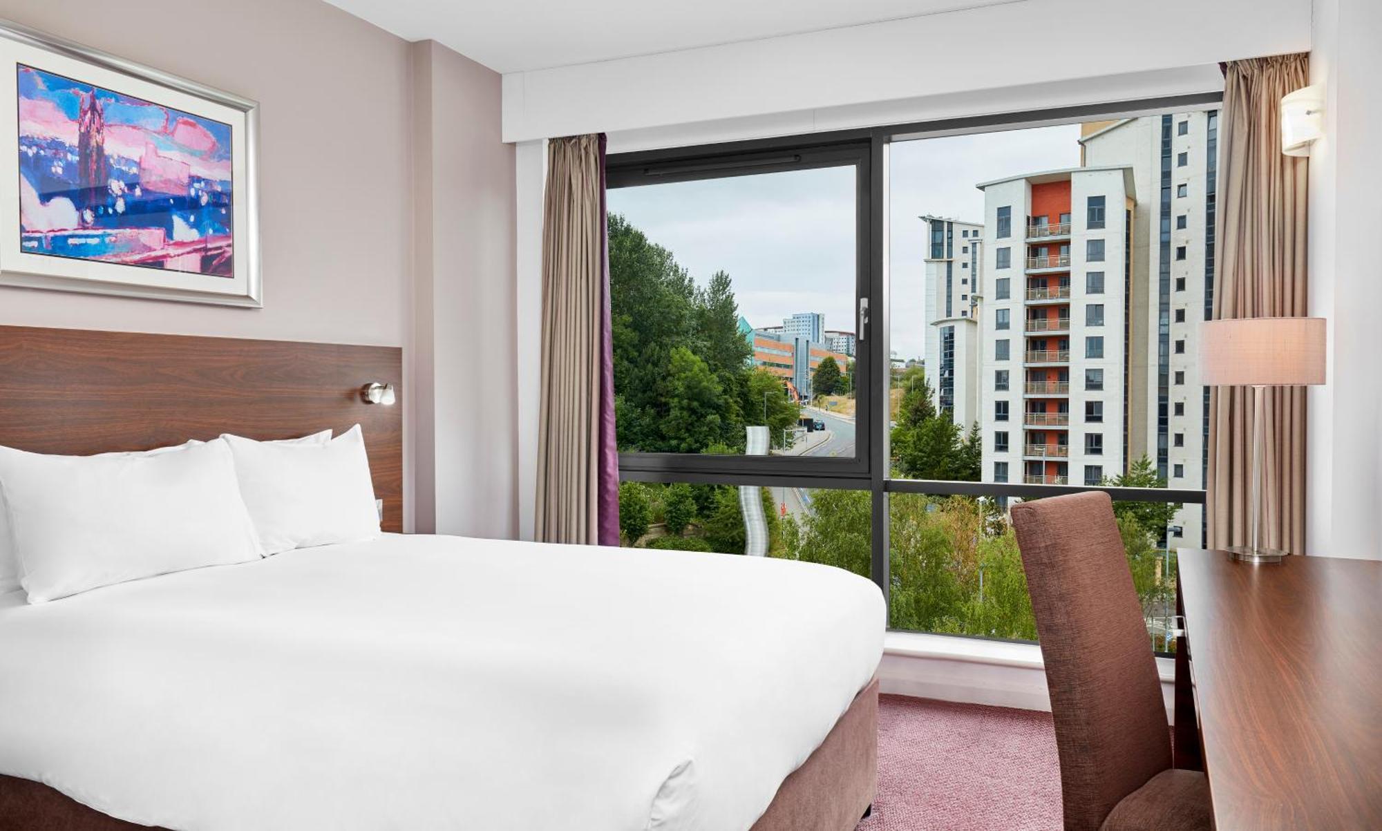Standard Double Room,696296397:JPEG